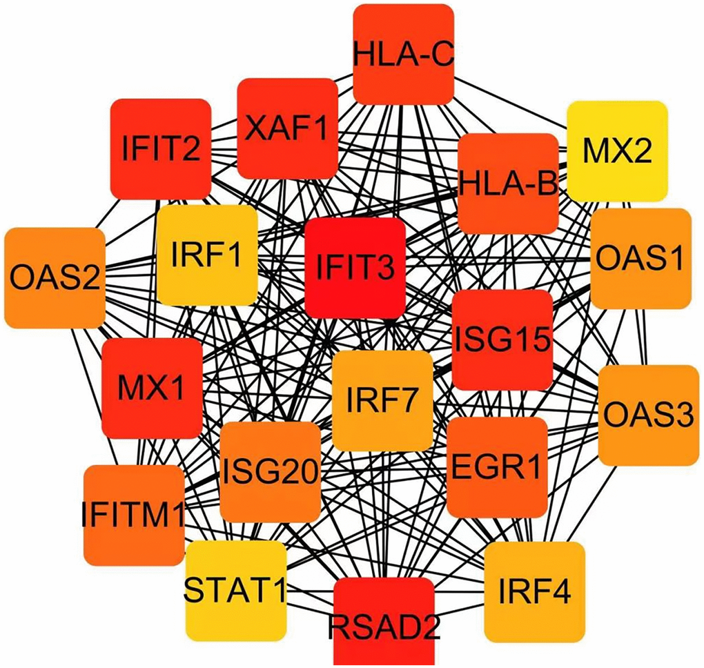 Identification of hub genes in the PPI network with the Cytoscape plugin cytoHubba.