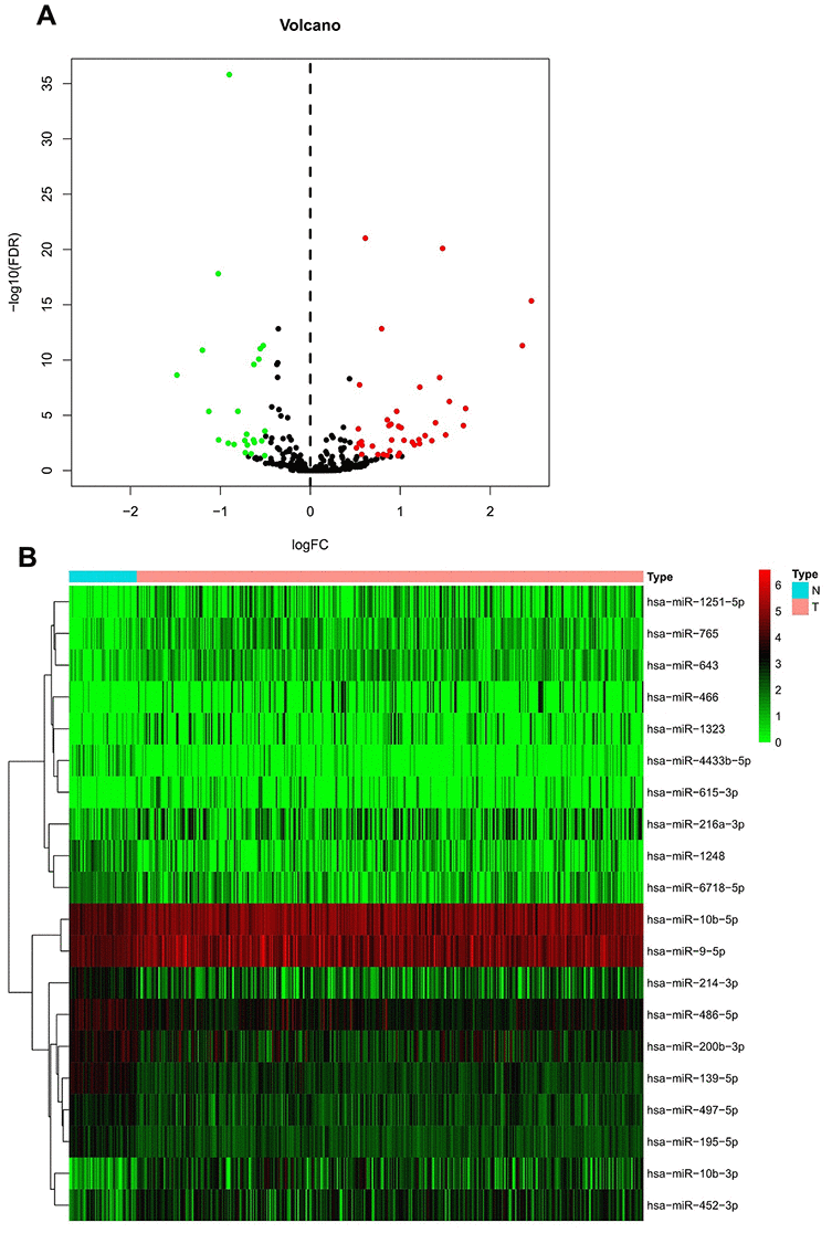 Differential expression of m7G-related miRNA in HCC and non-tumor samples. (A) Heatmap of top 20 DEmiRNAs. Normal and tumor samples are represented in N and T, respectively. (B) Volcano plot of all DEmiRNAs. Red and green dots represent up- and down-regulated m7G-miRNAs, respectively.