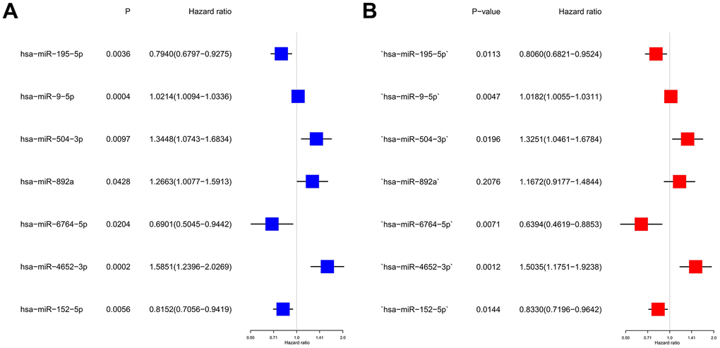Construction of risk scores for m7G-related miRNAs. (A) Univariate Cox regression analysis was used to screen seven prognosis-related miRNAs. (B) Forest plot of multivariate analyses.
