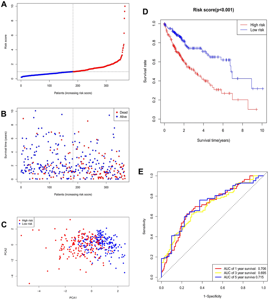 Validation of prognostic models for seven m7G-related miRNAs. (A) Risk score distribution. (B) Survival status. (C) PCA plot. (D) Survival curve for low- and high-risk groups. (E) ROC curve for 1-, 3-, and 5-year overall survival.
