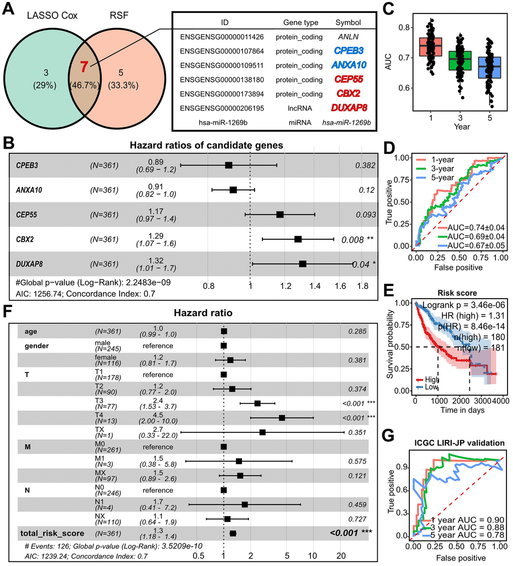 Establishment and refinement of DUXAP8/CBX2/CEP55-centered prognostic model. (A) Shared model candidate survival-related RNAs from which was selected with Lasso Cox and RSF from the refined regulatory networks. (B) Forest plots of multivariate Cox showed the hazard ratio (HR), 95% confidence interval (CI), and corresponding P-values of model-used CPEB3, ANXA10, CEP55, CBX2, and DUXAP8 (C) Time-dependent AUC within 5 years of a prognostic model related to 5-survival genes using two-fold cross validation with 50 randomly repeated replications. (D) The examples of time-dependent ROC at 1-, 3-, and 5-year corresponding to the AUC in (C). (E) Kaplan-Meier plots of the risk score predicted with the prognostic model in TCGA-LIHC. The high and low risk group was determined with the median of risk score. P value was calculated by log-rank test. (F) Forest plots of multivariate Cox showed HR and p value of TNM, age, gender and risk score. (G) Time dependent ROC and AUC at 1-, 3-, and 5-year predicted with external validation using ICGC-LIRI-JP by 5-survival-gene prognostic model. RSF, Random Survival Forest; AUC, area under the curve; ROC, receiver operating characteristic curve; HR, hazard ratio.