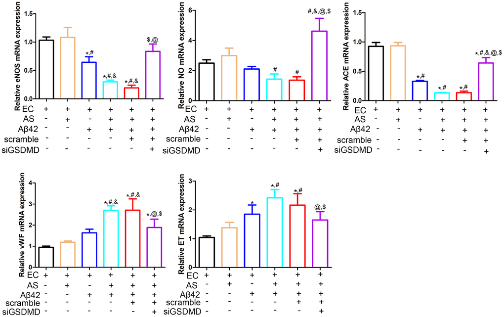 Real-time quantitative PCR was performed to detect the expression of eNOS, NO, ACE, ET and vWF in endothelial cells. Abbreviations: EC: endothelial cells; AS: astrocyte. *p #p &p $p @p 