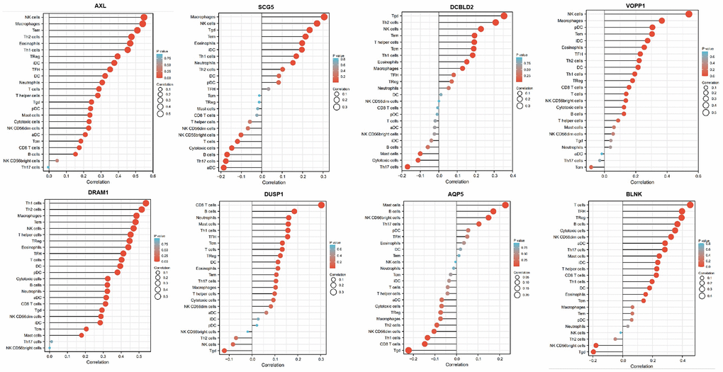 Relationship between 8 mRNAs and immune infiltration. The lollipop plot shows the correlation between AXL, SCG5, VOPP1, DCBLD2, DRAM1, DUSP1, AQP5 and BLNK expression and 24 immune cell subsets infiltration. The size of dots indicates the absolute Spearman r value.