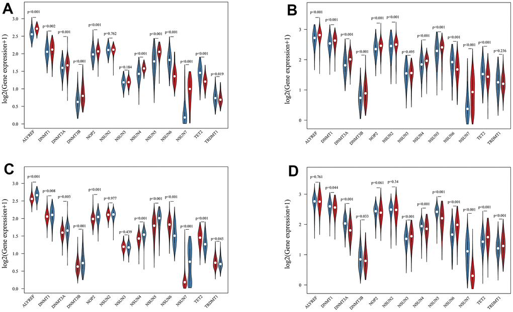 The landscape of m5C RNA methylation regulators in glioma. (A, B) Vioplots visualized the differentially expressed m5C regulators between LGG and GBM in TCGA (A) and CGGA (B). (blue represents LGG and red represents GBM). (C, D) Vioplots visualized the differentially expressed m5C regulators with IDH status in TCGA (C) and CGGA (D). (blue represents wild type and red represents mutation type).