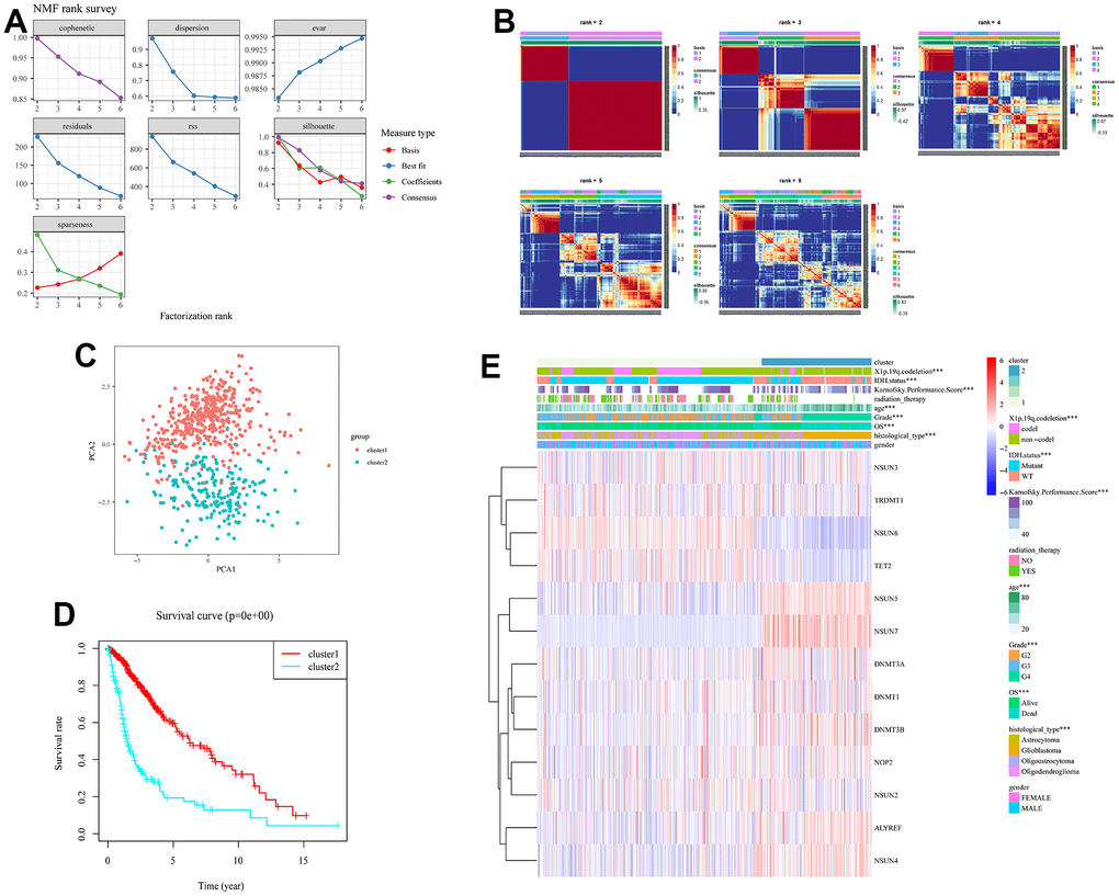 Obtaining consensus clusters by m5c regulators. (A) The relationship between cophenetic, dispersion, evar, residuals, rss and silhouette coefficients with respect to number of clusters. (B) The consensus map of NMF clusterin in the total TCGA cohort. Patients were clustered into subgroups based on the expression of 13 m5c regulators. (C) Principal component analysis for the expression profiles of 13 m5c regulators to distinguish different cluster. (D) The survival curve in cluster 1 and 2. (E) The correlation analysis of m5c regulators and clinical phenotypes in cluster 1 and 2.