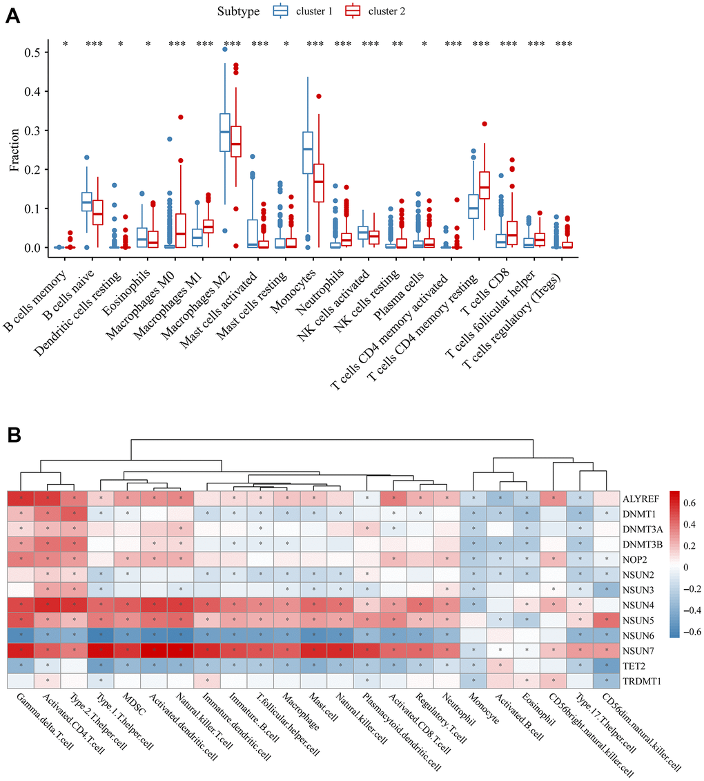 The relationship between m5c and immune. (A) The abundance of each immune cell in two clusters. The lines in the boxes were the median values. The asterisks represented the p values (*P B) Spearman correlation analysis of immune score and m5c genes.