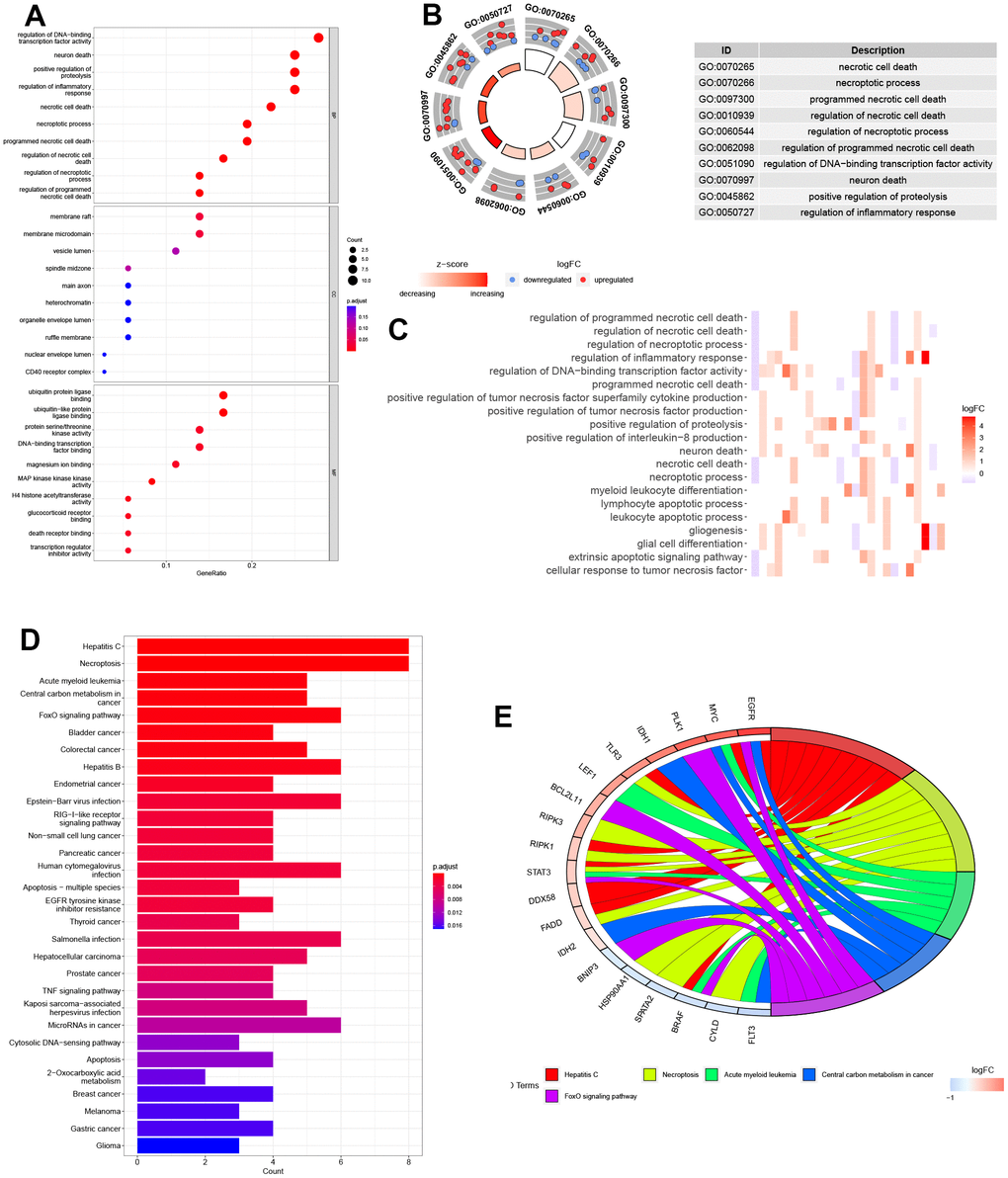 Biological functional enrichment research of NRGs. (A–C) GO enrichment of NRGs. (D, E) KEGG pathways of NRGs.