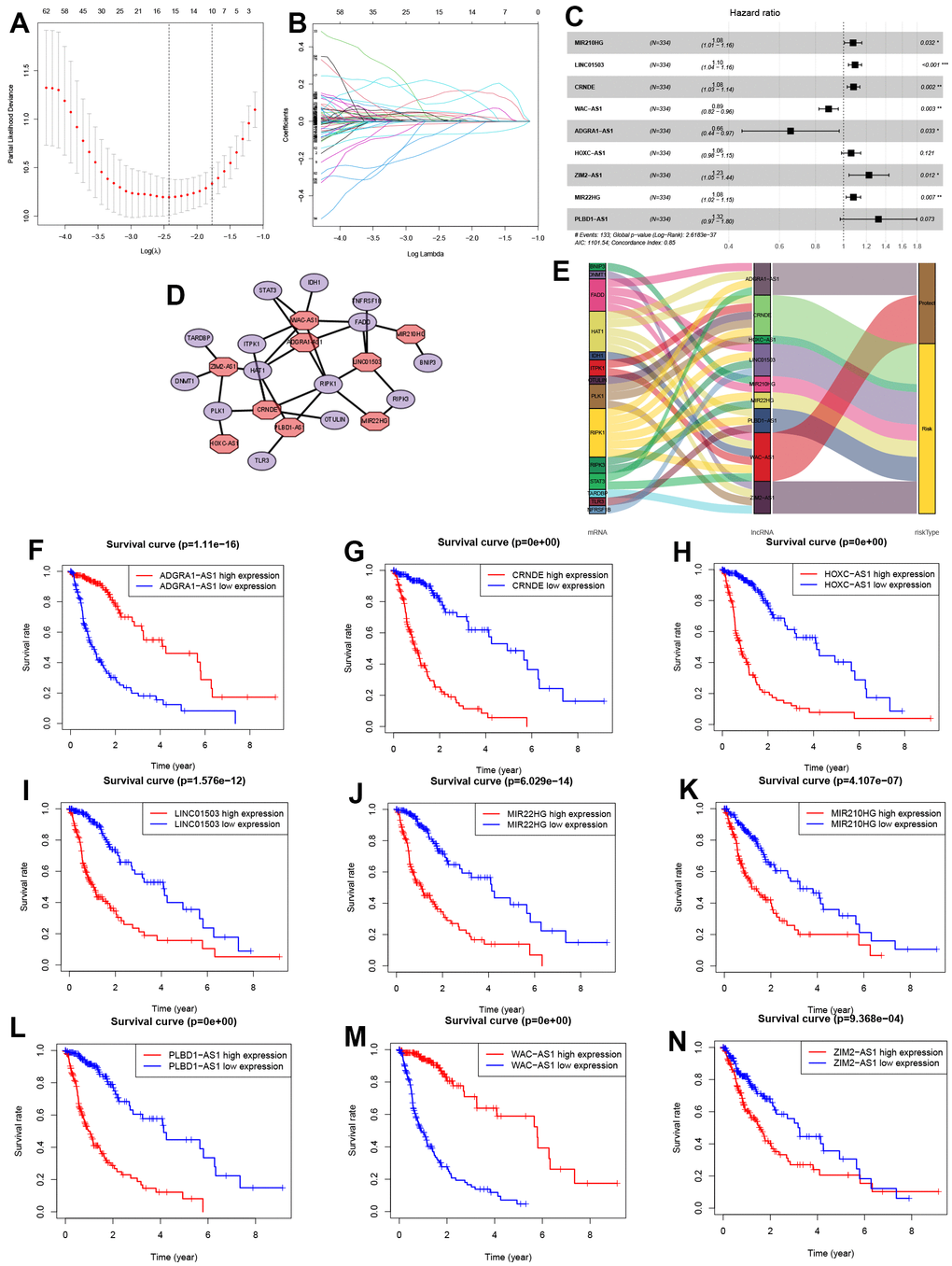 Identification of NRLs and their subsistence analysis. (A, B) LASSO Cox algorithm. (C) The risk model of 9 NRLs. (D) The co-expression structure. (E) Sankey diagram. (F–N) The Kaplan-Meier analysis of 9 NRLs.