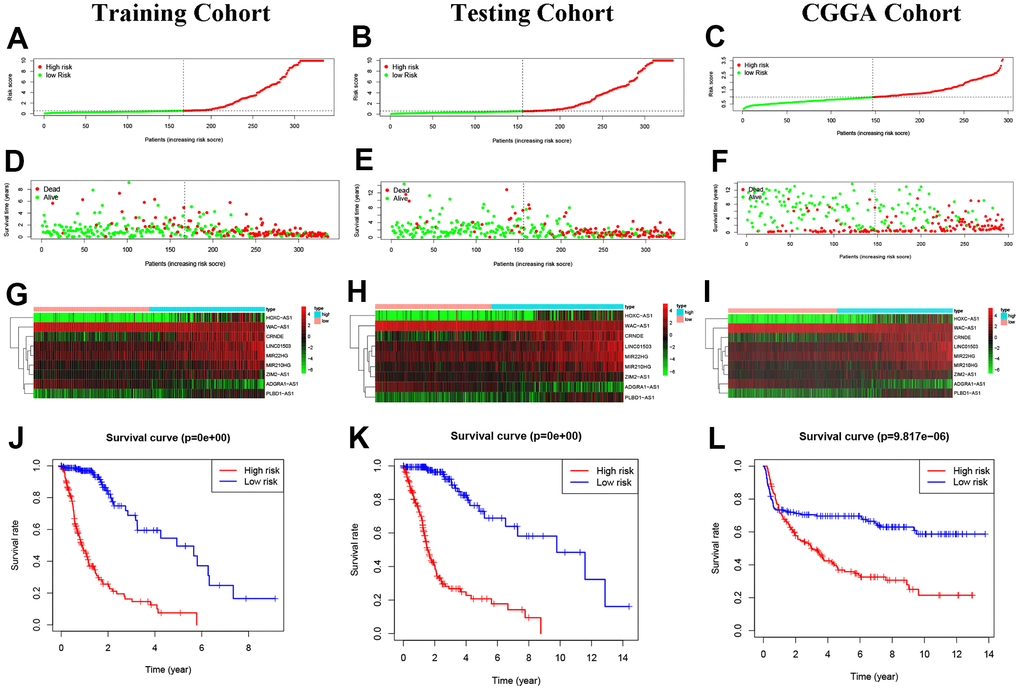 Construction of predictive risk model in glioma patients. (A–C) The two risk groups risk in the three cohorts. (D–F) The survival status of glioma patients. (G–I) The heatmap of 9 NRLs. (J–L) The Kaplan-Meier analysis.