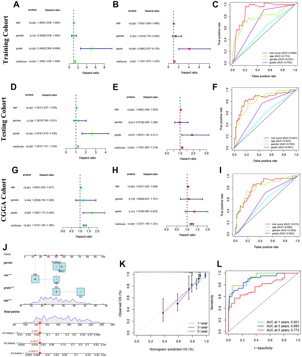 Prognosis value of model NRLs in glioma. (A–C) Univariate analysis, multivariate analysis, and the ROC curves in training cohort. (D–F) Univariate analysis, multivariate analysis, and the ROC curves in testing cohort. (G–I) Univariate analysis, multivariate analysis, and the ROC curves in CGGA cohort. (J) Nomogram model. (K) Calibration curve. (L) The ROC curves.