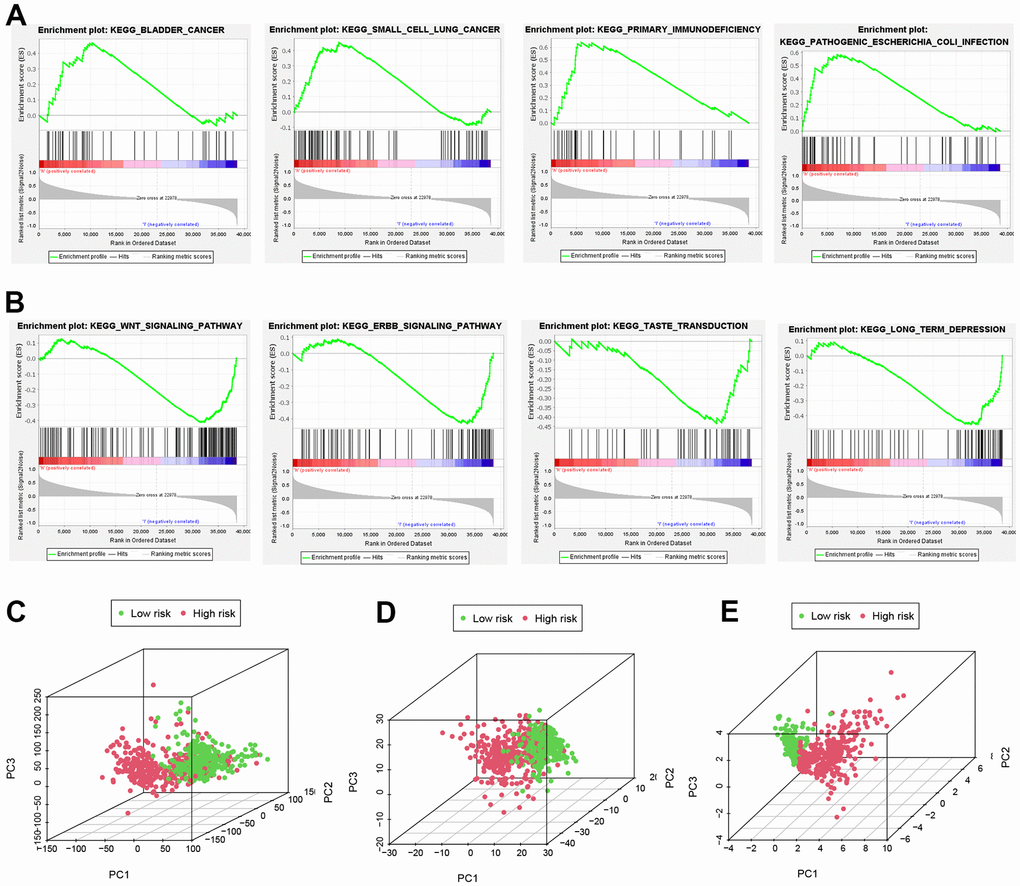 Important pathways and PCA analyses. (A, B) GSEA analysis. (C, D) All NRGs, lncRNAs and (E) NRLs in PCA analysis using 3D scatterplot.