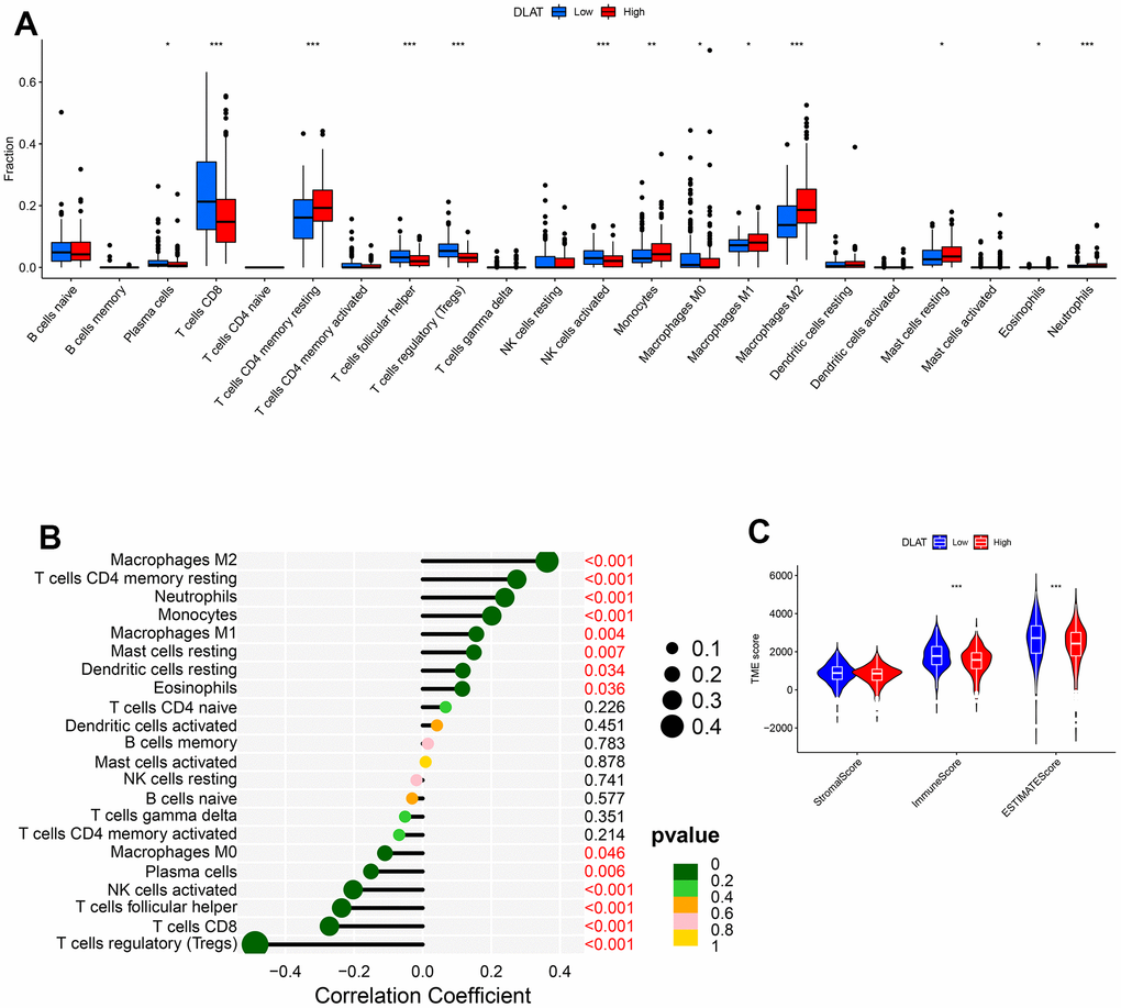 DLAT-mediated immune invasion and micro-environment. (A) Boxplot shows the differences of the 22 types of immune cells in high- and low-expression groups of DLAT. (B) Lollipop plot indicates the correlation between DLAT and 22 types of immune cells. (C) Violin graph shows the relationship between DLAT expression and TME (higher Immune and ESTIMATE Scores were witnessed in low-expression group of DLAT.).