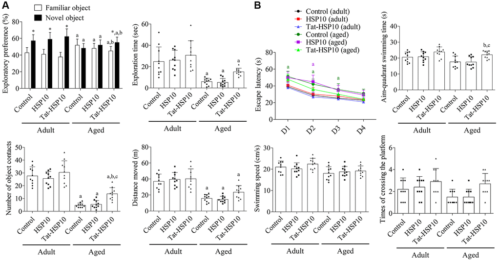 Effects of Tat-HSP10 and HSP10 on novel object recognition (A) and Morris water maze task (B) in adult and aged mice. (A) Exploratory preference (familiar vs. new object), total exploration time, number of contacts with a novel object during the testing trial, and distance moved were analyzed in control, HSP10-, and Tat-HSP10-treated groups of adult and aged mice. (B) Escape latency was analyzed in four consecutive navigation tests. The time consumed in the aim quadrant, swimming speed, and platform crossing times were measured on the next navigation test in the control, HSP10-, and Tat-HSP10-treated groups of adult and aged mice. Data are represented as the mean ± SD (n = 10 each group; analyzed by one-way or two-way ANOVA tests followed by Tukey’s post hoc test, *P aP bP cP 