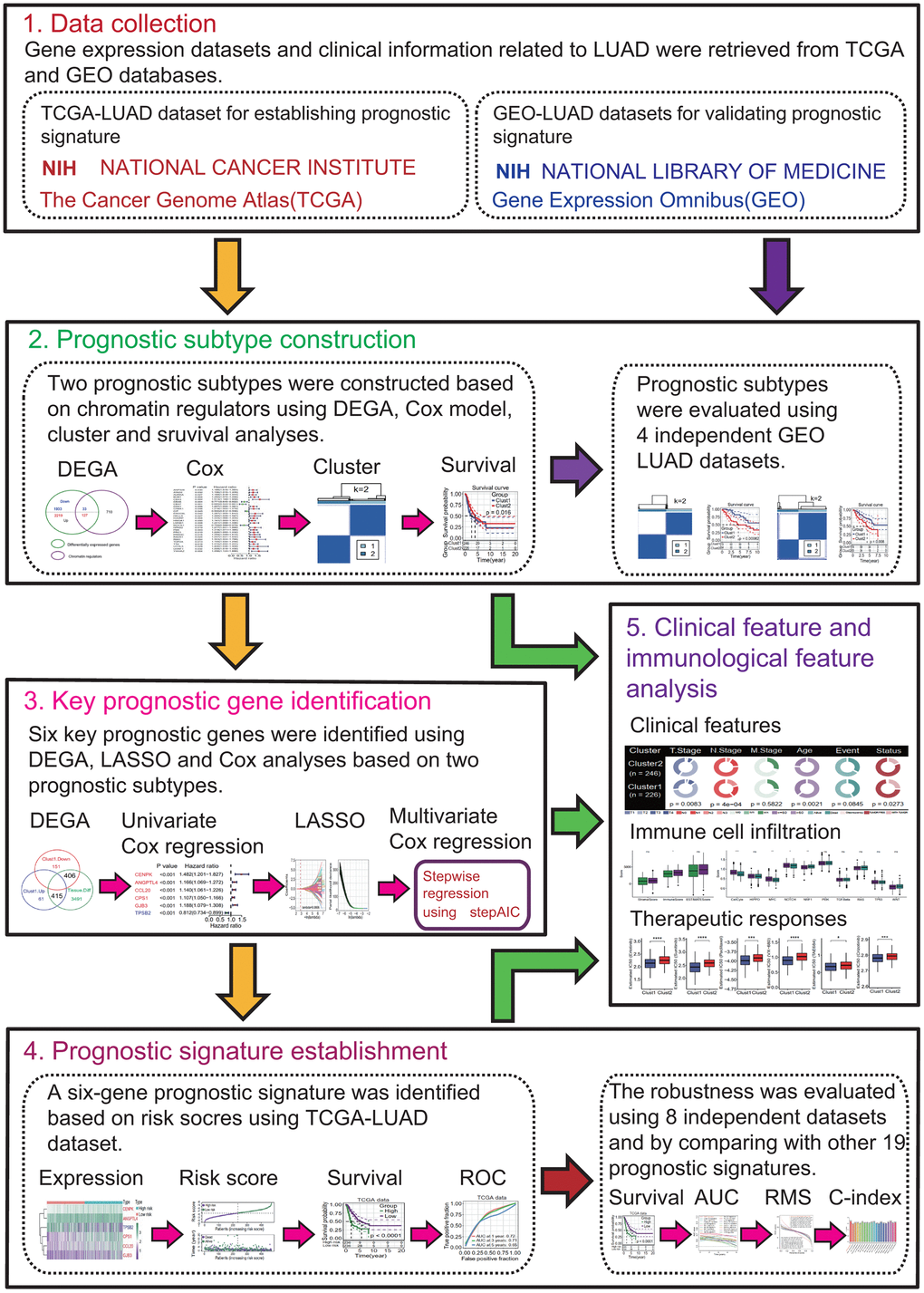 Flow chart of the present study. This study was divided into 5 research modules sequentially. (1) Data collection. Lung adenocarcinoma (LUAD) gene expression datasets were retrieved from the public gene expression omnibus (GEO) and the cancer genome atlas (TCGA) databases, respectively. (2) Prognostic subtype construction. Prognostic subtypes were constructed based on prognostic chromatin regulators. (3) Key prognostic gene identification. Key prognostic genes were identified by Cox regression and the least absolute shrinkage and selection operator (LASSO) analyses. (4) Prognostic signature establishment. Prognostic signature was established and evaluated. (5) Clinical feature and immunological feature analyses. The relationships of prognostic subtypes, prognostic genes and signature with clinical characteristics and immunological features were analyzed.