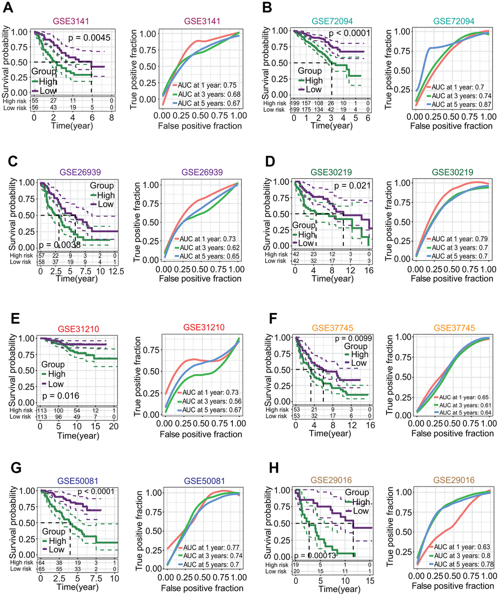 Correlations of six-gene signature with overall survival (OS) of patients in lung adenocarcinoma (LUAD). (A–H) Survival analysis based on eight independent LUAD datasets from the gene expression omnibus (GEO) database. Eight GEO-LUAD datasets were GSE3141, GSE72094, GSE26939, GSE30219, GSE31210, GSE37745, GSE50081 and GSE29016. For each dataset, LUAD patients in the low-risk subgroup had a higher OS rate than those in high-risk subgroup (p = 0.0045, 