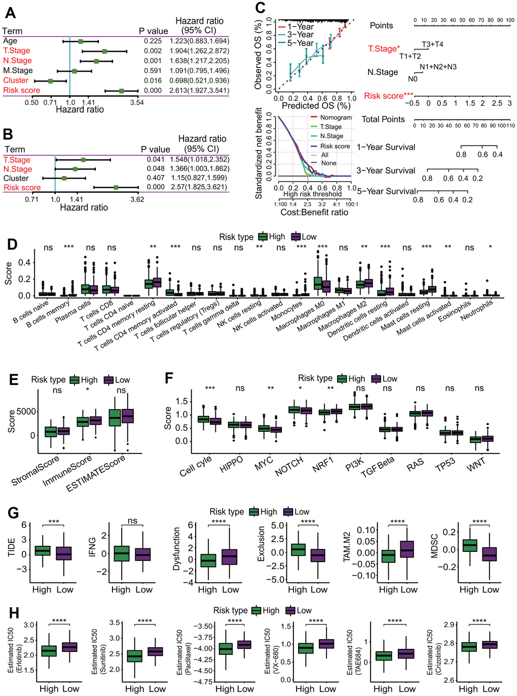 Independent prognostic analysis and correlations of risk score with immunological features. (A) Independent prognostic analysis for risk score using univariate Cox regression analysis. Risk score was significantly correlated with the overall survival of LUAD patients, and could serve as an independent prognosticator in predicting the survival of LUAD patients. (B) Independent prognostic analysis for risk score using multivariate Cox regression analysis. Risk score was significantly correlated with the overall survival of LUAD patients, and could serve as an independent prognosticator in predicting the survival of LUAD patients. (C) Construction of a nomogram predicting the survival. A nomogram for predicting 1-year, 3-year and 5-year overall survival was constructed. (D) Comparisons of 22 immune cell types between high- and low-risk subgroups. Some immune cell types had significant differences between two risk subgroups. *p p p E) Comparison of immune infiltration score. LUAD patients in the low-risk subgroup had higher immune scores than those in the high-risk subgroup. *p F) Comparisons of activities of 10 oncogenic signaling pathways between two risk subgroups. The activities of cell cycle, MYC, NOTCH and NRF1 pathways had significant differences, and three oncogenic signaling pathways (cell cycle, MYC, NOTCH) had higher activities in the high-risk subgroup. *p p p G) Comparisons of tumor immune dysfunction and exclusion (TIDE) score, interferon-gamma (IFNG), T cell dysfunction (Dysfunction), T cell exclusion (Exclusion), tumor-associated macrophages M2 (TAM.M2) and myeloid-derived suppressor cells (MDSC). Except IFNG, those terms had significant differences between two risk subgroups, and TIDE, Exclusion and MDSC in the high-risk subgroup were significantly higher than those in the low-risk subgroup. Dysfunction and TAM. M2 in the high-risk subgroup were significantly lower than those in the low-risk subgroup. *p p p p H) Comparisons of estimated IC50 values for 6 conventional chemotherapy agents. The estimated IC50 values for 6 chemotherapy agents including erlotinib, sunitinib, paclitaxel, VX-680, TAE684 and crizotinib in the high-risk subgroup were significantly lower than those in the low-risk subgroup. *p p p p 