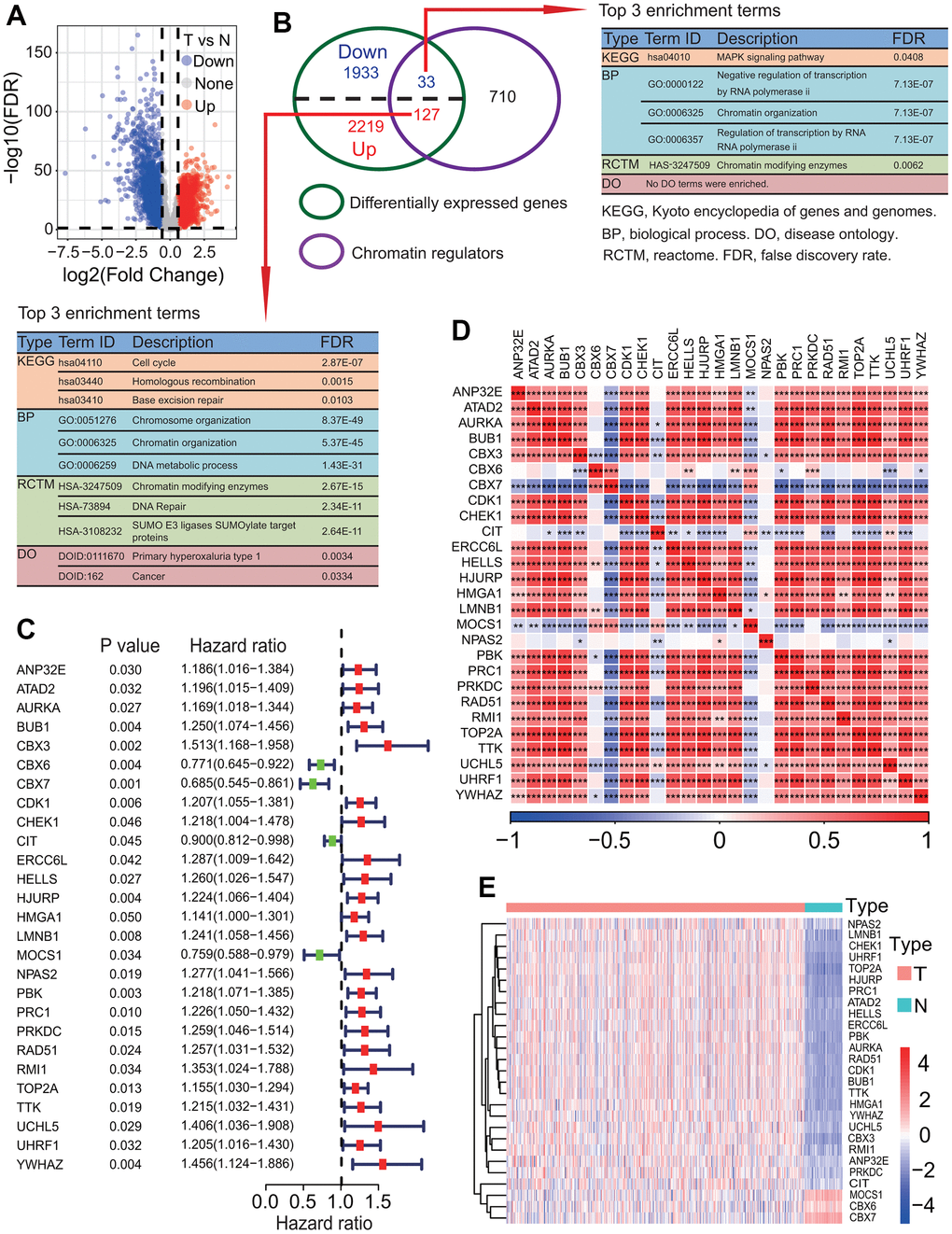 Identification of key differentially expressed chromatin regulators associated with survival. (A) Distribution of differentially expressed genes (DEGs) between lung adenocarcinoma (LUAD) and normal lung tissues. Totals of 2346 upregulated and 1966 downregulated DEGs were identified in LUAD tissue. (B) Identification of differentially expressed chromatin regulators (DECRs). Totals of 127 upregulated and 33 downregulated DECRs were identified in LUAD tissue. (C) Identification of key DECRs associated with overall survival (OS) rate of patients with LUAD. Univariate Cox regression analysis showed that 27 DECRs were associated with the OS of patients with LUAD. (D) Correlations between key prognostic DECRs in expression. Except three DECRs including MOCS1, CBX7 and CIT, the expressions of the other 24 DECRs showed strong positive correlations on the whole. (E) Heat map of key prognostic DECRs in expression. Except three DECRs including MOCS1, CBX7 and CBX6, the expression of the other 24 DECRs were upregulated in LUAD tissue.