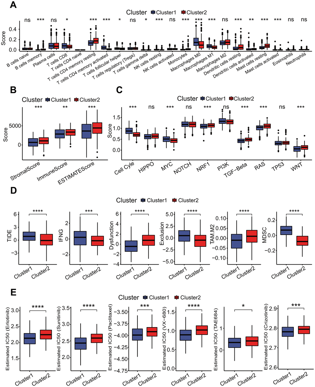 Correlations of molecular prognostic subtypes with immunological features. (A) Infiltration comparisons of 22 immune cell types. The scores of some immune cell types had significant differences between two clusters, such as T cells CD4 memory resting, mast cells resting and dendritic cells resting with higher scores in the cluster 2. *p p p B) Infiltration comparison of stromal and immune cells. The cluster 2 had higher stromal score, immune score and ESTIMATE score. *p p p C) Comparisons of activities of 10 oncogenic signaling pathways. The scores of cell cycle, MYC, NRF1, TGF-beta, RAS and WNT pathways had significant differences between two clusters, and these oncogenic signaling pathways had lower activities in the cluster 2. *p p p D) Comparisons of tumor immune dysfunction and exclusion (TIDE) score, interferon-gamma (IFNG), T cell dysfunction (Dysfunction), T cell exclusion (Exclusion), tumor-associated macrophages M2 (TAM.M2) and myeloid-derived suppressor cells (MDSC). These terms had significant differences between two clusters, and TIDE, IFNG, Exclusion and MDSC in the cluster 1 were significantly higher than those in the cluster 2. Dysfunction and TAM. M2 in the cluster 1 were significantly lower than those in the cluster 2. *p p p p E) Comparisons of estimated IC50 values for 6 conventional chemotherapy agents. The estimated IC50 values for erlotinib, sunitinib, paclitaxel, VX-680, TAE684 and crizotinib in the cluster 1 were significantly lower than those in the cluster 2. *p p p p 