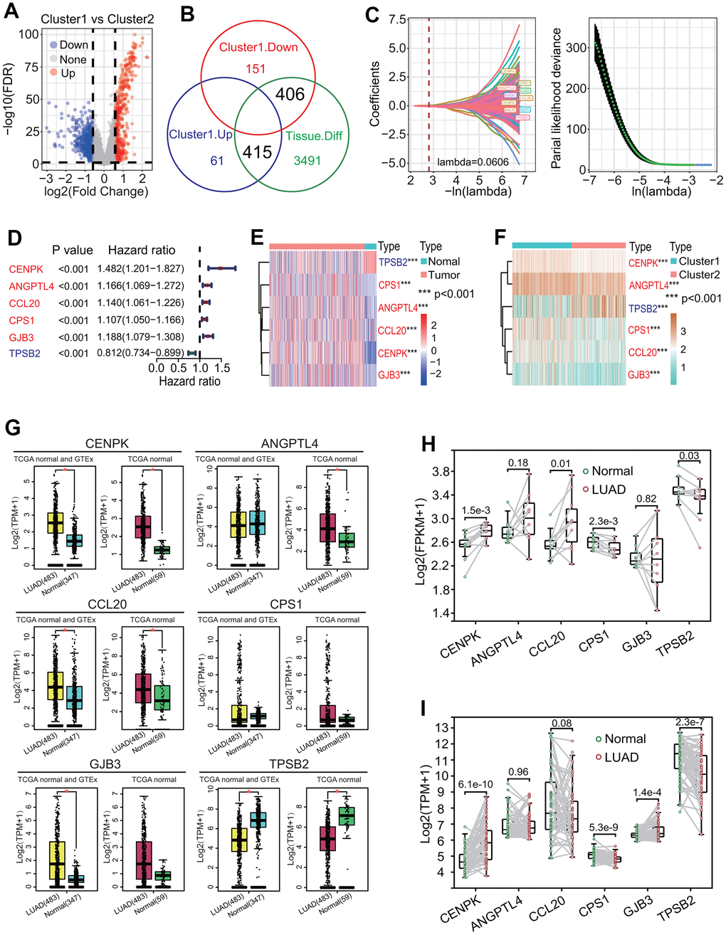 Identification of key differentially expressed genes (DEGs) between two clusters. (A) Distribution of DEGs between two clusters. Totals of 466 upregulated and 557 downregulated DEGs were identified in the cluster 1. (B) Identification of key DEGs between two clusters. An overlap analysis showed that totals of 821 dysregulated DEGs were important between two clusters. (C) LASSO Cox analysis. A 10-round cross validation was performed to prevent overfitting and 10 DEGs (CENPH, RHOV, ANLN, MDFI, TPSB2, CPS1, ANGPTL4, CCL20, CENPK, GJB3) had the most important feature when lambda was equal to 0.0606. (D) Univariate Cox regression analysis. Six DEGs including TPSB2, CPS1, ANGPTL4, CCL20, CENPK and GJB3 had significant prognostic values (all p E) Heat map of expressions of six DEGs between lung adenocarcinoma (LUAD) and normal lung tissues. Five DEGs including CPS1, ANGPTL4, CCL20, CENPK and GJB3 were upregulated expressed and TPSB2 was downregulated expressed in LUAD tissue. (F) Heat map of expressions of six DEGs between two clusters. Five DEGs including CPS1, ANGPTL4, CCL20, CENPK and GJB3 were upregulated expressed and TPSB2 was downregulated expressed in the cluster 1. (G–I) The expression levels of 6 prognostic genes between LUAD and normal lung tissues based on GEPIA (gene expression profiling interactive analysis), real RNA-seq and GSE19804 datasets.