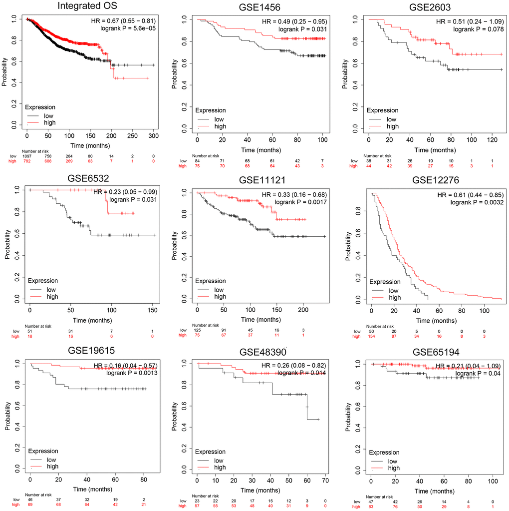 Validation of prognostic implications of CCL19 expression for OS in BRCA patients across independent cohorts. OS analysis of 1879 BRCA samples in total from independent cohorts in GEO database was performed.