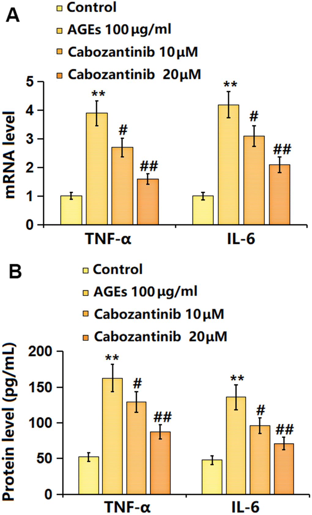 Cabozantinib inhibited the inflammation in AGEs-treated SW1353 chondrocytes. SW1353 chondrocytes were stimulated with 100 μg/ml AGEs with or without 10 and 20 μM Cabozantinib for 24 h. (A) mRNA level of TNF-α, and mRNA level of IL-6. (B) The protein level of TNF-α, and the protein level of IL-6 (n=6, *, ** PP
