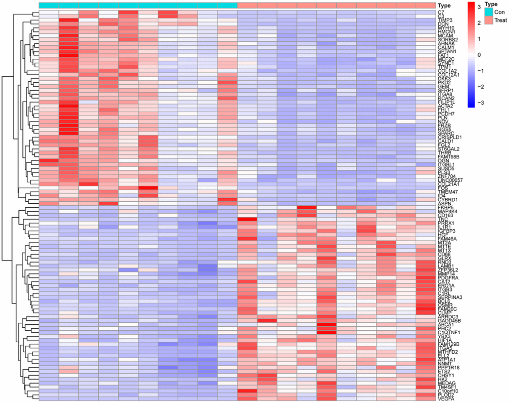 Heatmap of the top 50 differential genes.