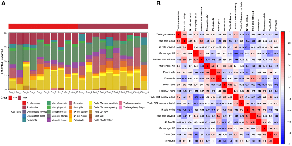 Immunoenrichment analysis. (A) Heatmap of immune-cell distribution in aortic dissection tissues. (B) Immune cell correlation analysis.