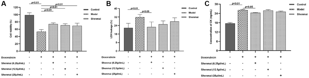 Effects of Shenmai injection on the viability of injured H9c2 cells at different concentrations. (A) The effect of Shenmai Injection on the viability of H9c2 cells; (B) The effect of Shenmai Injection on the LDH level of H9c2 cells; (C) The effect of Shenmai Injection on CK level of H9c2 cells.