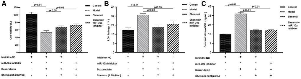 Effects of Shenmai injection on viability of H9c2 cells. (A) Effects of Shenmai Injection on the viability of H9c2 cells; (B) Effect of Shenmai Injection on LDH level of H9c2 cells; (C) Effect of Shenmai Injection on CK level of H9c2 cells.