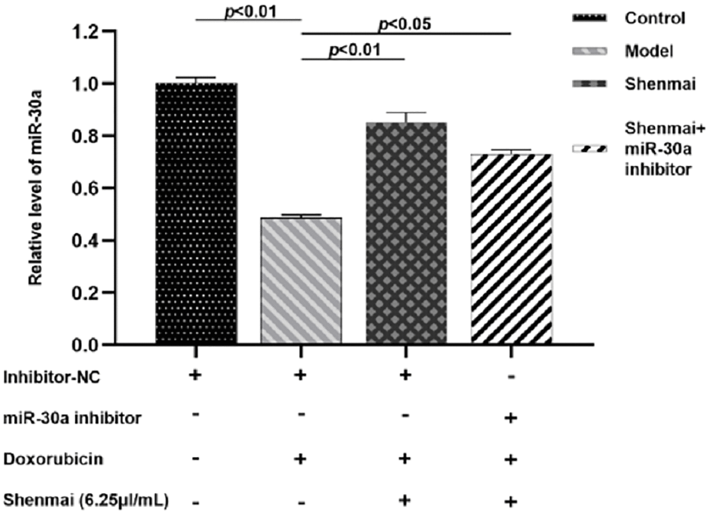 Effect of Shenmai injection on the expression of miR-30a in H9c2 cells.