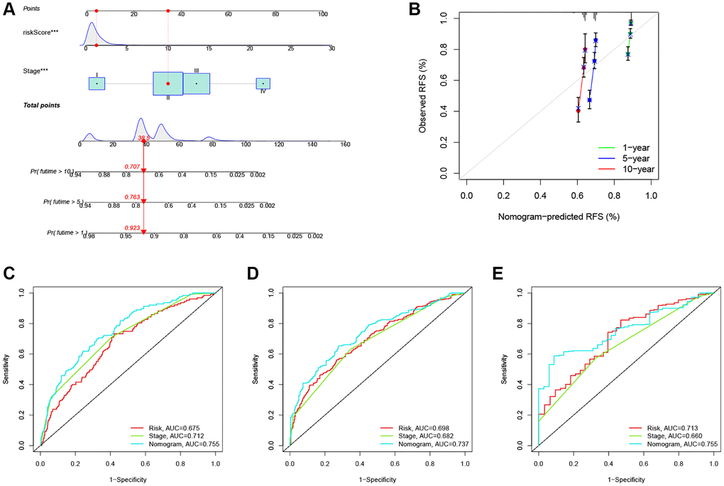 Construction and evaluation of a predictive nomogram. (A) The nomogram predicts the probability of the 1-, 5-, and 10-year RFS. (B) The calibration plot of the nomogram predicts the probability of the 1-, 3-, and 5-year RFS. (C–E) The time-dependent ROC curves of the nomograms compared for the 1-, 5-, and 10-year RFS in CRC, respectively. ***P 