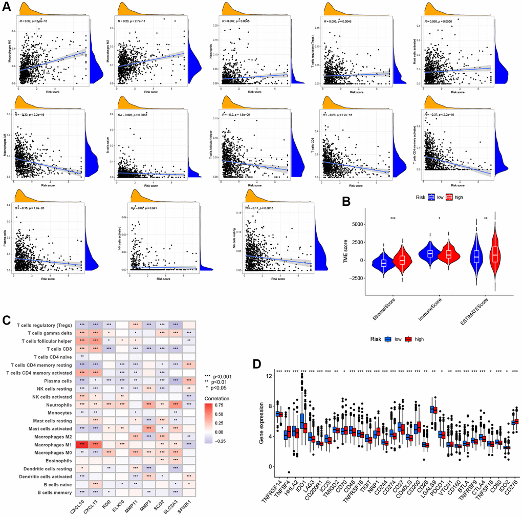 Evaluation of the TME and immune checkpoints between the distinct ARG