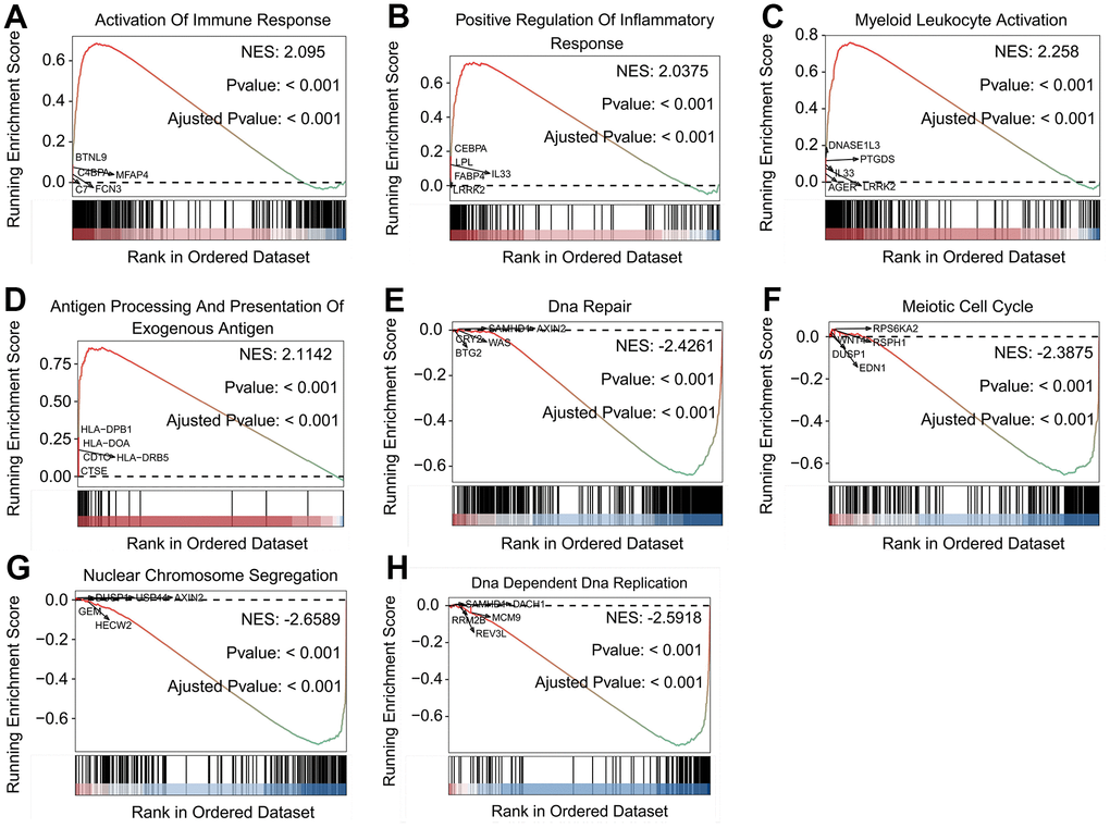 Biological features of LUAD patients in the stratified SFTPC subgroups. (A–H) Examples of GSEA results of LUAD patients with high (A–D) and low (E–H) expression of SFTPC.