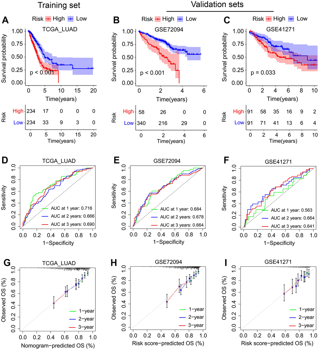 Evaluation of the SFTPC-related risk score in LUAD. (A–C) Kaplan-Meier curves of the OS of LUAD patients in the TCGA