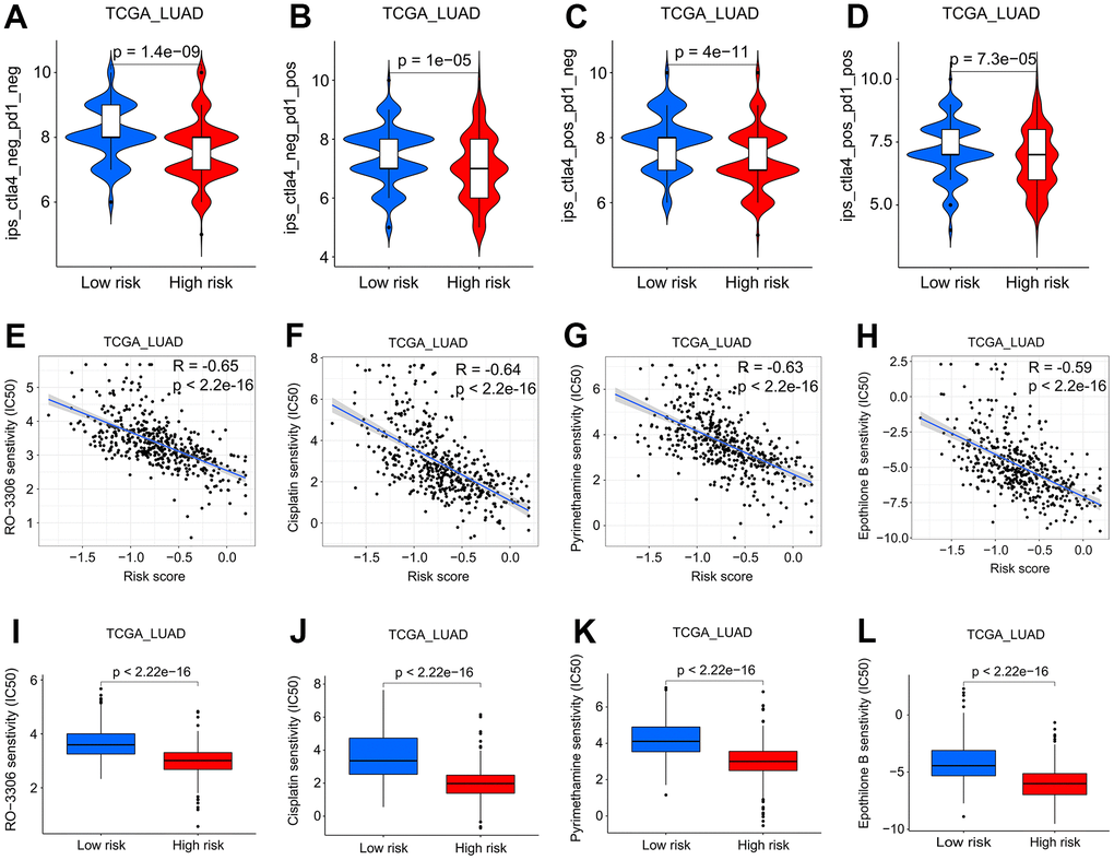 Screening of potential drugs for LUAD patients. (A–D) Patients at low risk will benefit more from CTLA4 and/or PD1 antibodies in the TCGA LUAD cohort. (E–H) Analysis of the correlation between sensitivity of patients to RO-3306, cisplatin, pyrimethamine, and epothilone B and risk score in the TCGA LUAD cohort. (I–L) Patients in the low-risk subgroup of the TCGA LUAD cohort were more sensitive to RO-3306, cisplatin, pyrimethamine, and epothilone B.