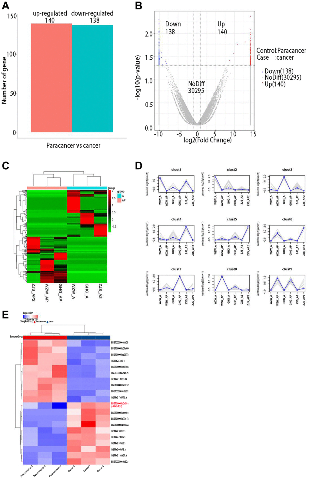 lncRNA sequencing revealed abnormally high expression of HOXC-AS2 in hypopharyngeal cancer tissues. (A) Statistical results of differentially expressed lncRNAs between different groups. Upregulated genes: lncRNAs upregulated in cases compared with controls; Downregulated genes: lncRNAs downregulated in cases compared with controls; Total DEGs: all differentially expressed lncRNAs in cases compared to controls. (B) Volcano plot of differentially expressed lncRNAs determined by sequencing in this study: The abscissa shows the log2-fold fold change values, and the ordinate shows the −log10 (p) values. The two vertical dashed lines in the figure indicate the differential expression thresholds (2-fold). The dotted line indicates the P-value threshold of 0.05. The red dots indicate upregulated lncRNAs in this group, the blue dots indicate downregulated lncRNAs in this group, and the gray dots indicate nonsignificant differentially expressed lncRNAs. (C) Clustering of differentially expressed lncRNAs: lncRNAs are shown in rows, each sample is shown in a column, red indicates high expression of a lncRNA, and green indicates low expression of a lncRNA. (D) Trend analysis after clustering in this study: the gray line shows the expression pattern of genes in each cluster, and the blue line shows the average expression level of all genes in the cluster in the sample. (E) Differential expression of lncRNAs was visualized on a heatmap after bioinformatics analysis of lncRNA sequencing data.