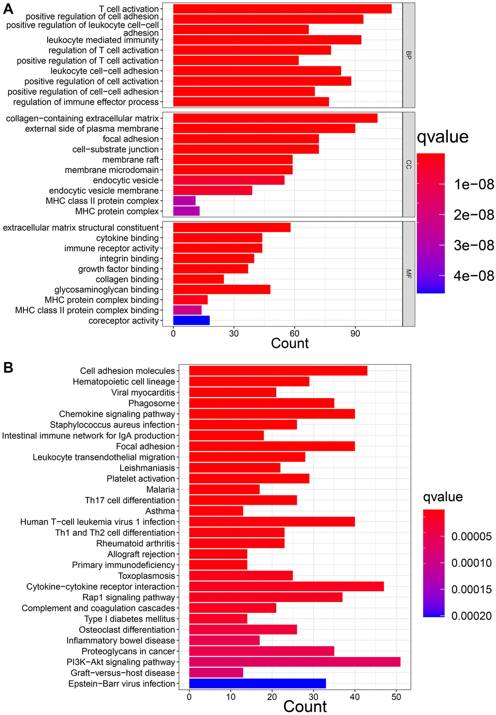 Function enrichment analysis of DEGs. (A) GO enrichment analysis. (B) KEGG enrichment analysis.