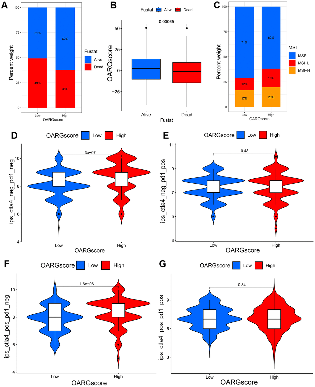 OARGscore in the role of immunotherapy. (A, B) The percentage of patients who survived in groups with low- and high-OARGscore. (C) The proportion of MSI grouping in low and high-OARGscore groups. (D–G) A comparison of the IPS relative distribution across groups with low- and high-OARGscore.