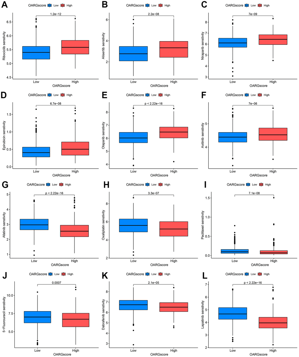 OARGscore guided chemotherapy strategies. (A–F) Predicted sensitivity of Ribociclib, Alisertib, Niraparib, Epirubicin, Olaparib, and Axitinib, which were candidate chemotherapeutic agents for low-OARGscore patients. (G–L) Predicted sensitivity of Afatinib, Oxaliplatin, Paclitaxel, 5−Fluorouracil, Dabrafenib and Lapatinib, which were candidate potent drug options for high-OARGscore patients.