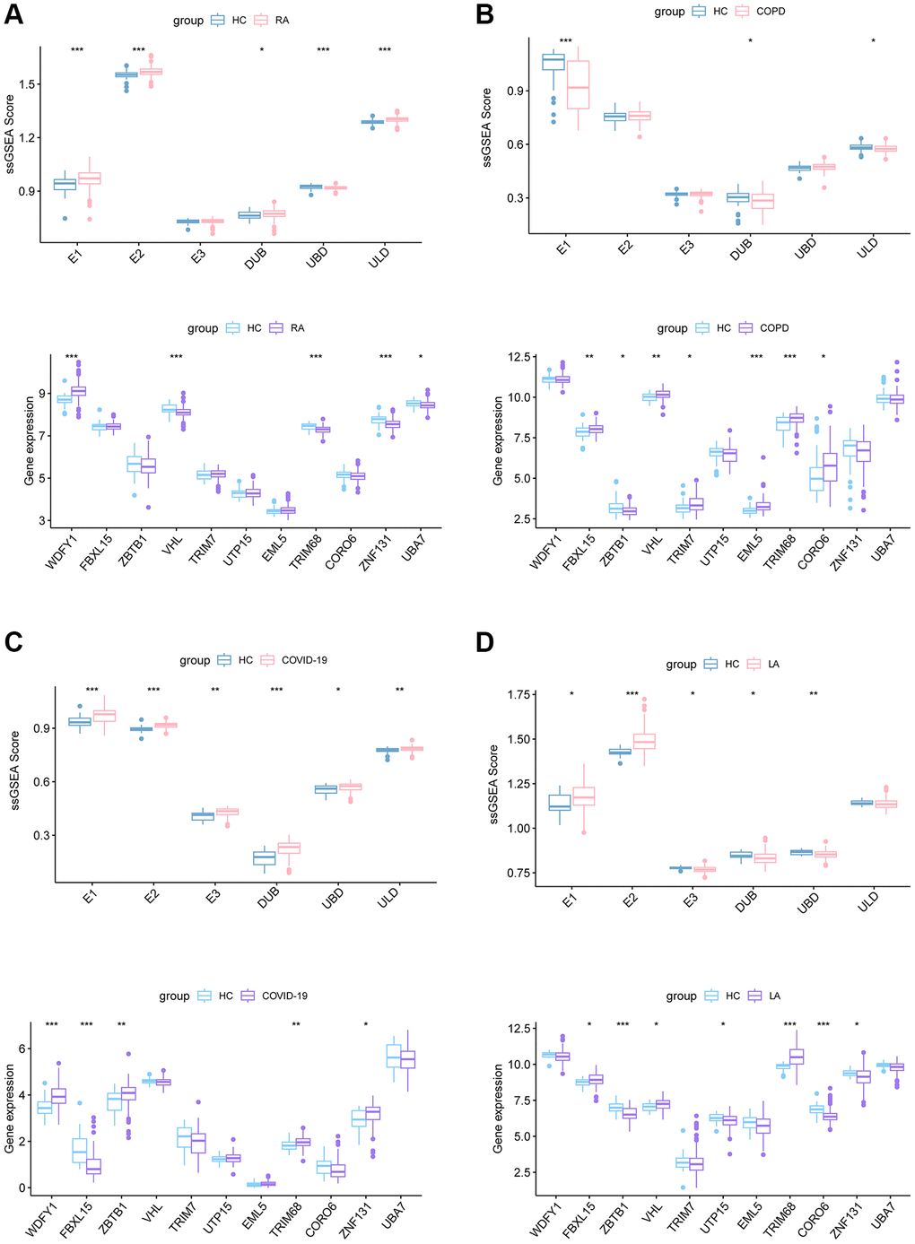 ssGSEA score of E1, E2, E3, DUB, UBD, ULD and the expression of 11 Ub-related hub genes in RA (A), COPD (B), COVID-19 (C), and LA (D) dataset. Abbreviations: RA: rheumatoid arthritis; COPD: Chronic obstructive pulmonary disease; COVID-19: corona virus disease 2019; LA: lung adenocarcinomas.