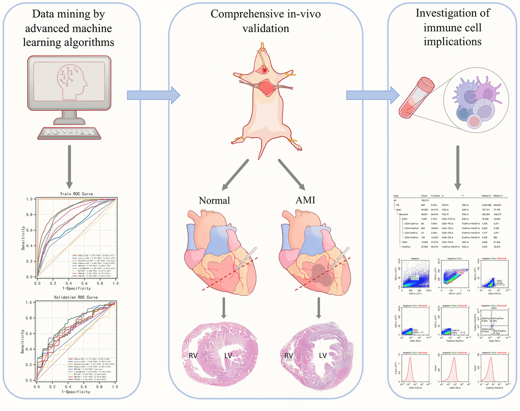 Graphical abstract of the present study.