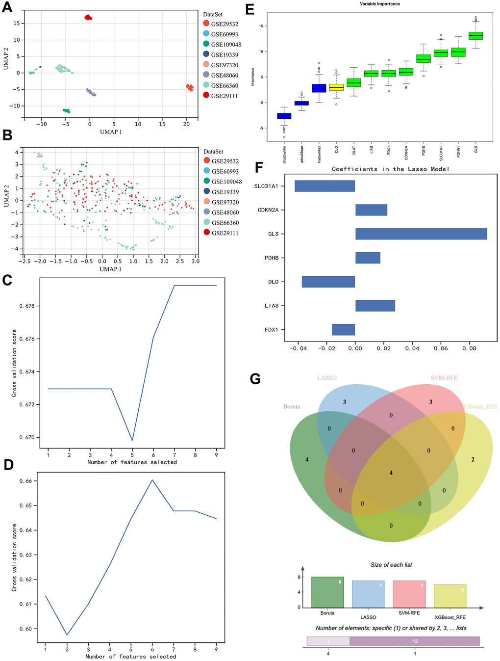Homogenization of different samples from various datasets and selection of the contributor genes for the construction of AI diagnostic predictor. (A, B) UMAP plot visualizes the sample distribution. As shown, originally the samples were fairly separated (A), but they were very well homogenous after normalization (B). (C–F) Determination of suitable contributor genes by SVM-RFE, XGBoost-RFE, Boruta, and LASSO, respectively. (G) Venn diagram demonstrated the overlapping genes. 4 genes (i.e., PDHB, CDKN2A, GLS, and SLC31A1) were finally selected.