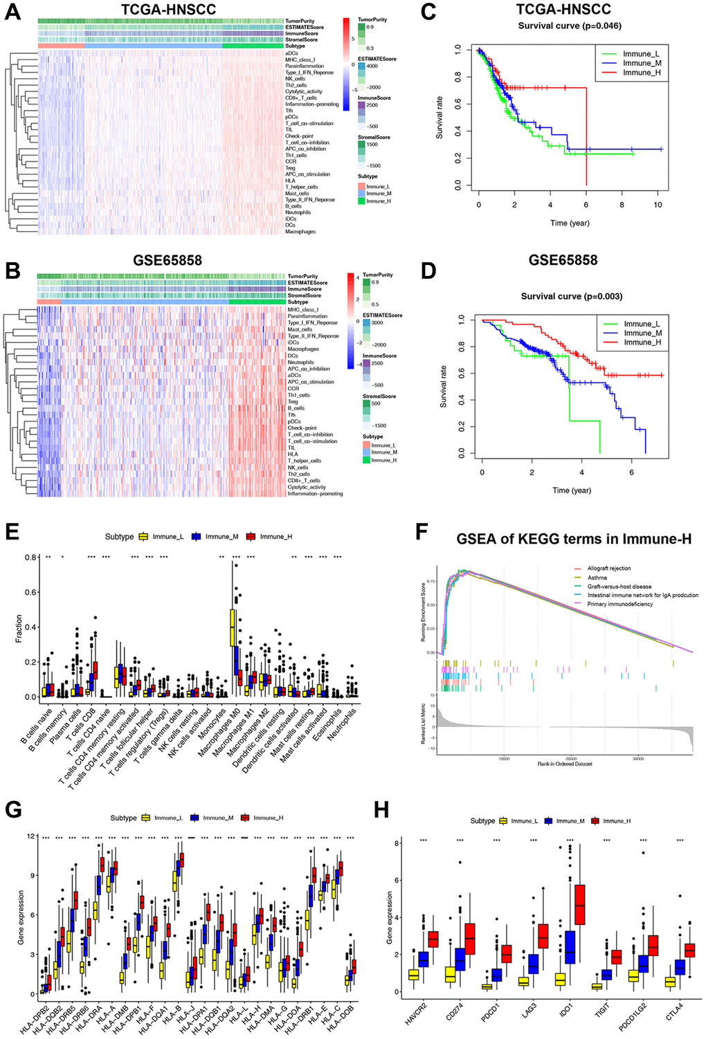 Classification of HNSCC based on ICF and analysis of the immune microenvironment. (A, B) The heatmap shows the enrichment of 29 immune gene signatures and TME components in different ICF subtypes. (C, D) Kaplan-Meier analysis for overall survival of three ICF subtypes. (E) The fractions of immune infiltrating cells in three ICF subtypes. (F) GSEA of KEGG pathways in Immune-H. (G) The expression levels of HLA alleles in different ICF subtypes. (H) The expression levels of immune checkpoints in different ICF subtypes. *p **p ***p 