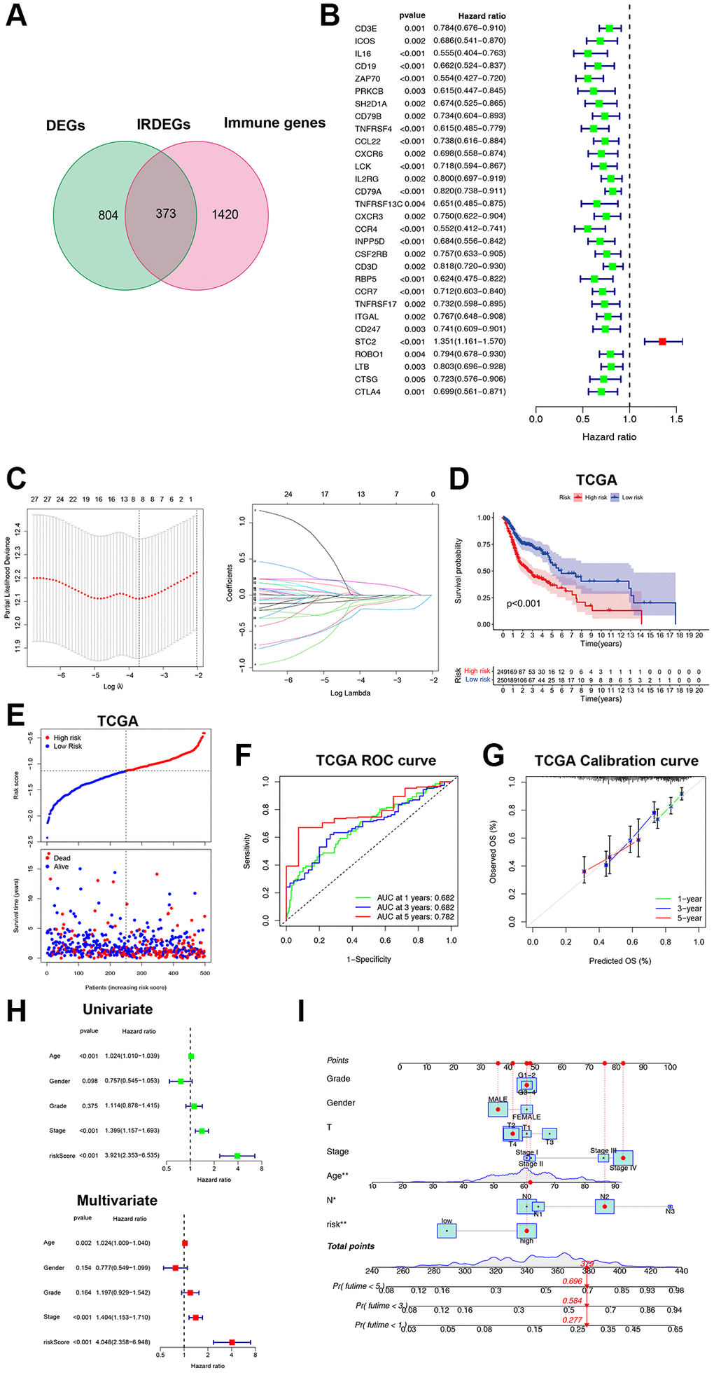 Construction and validation of the ICF gene signature. (A) Venn diagram shows 373 IRDEGs. (B) Univariate Cox analysis for PIGs. (C) Lasso regression analysis of PIGs. (D) Comparison of overall survival between high- and low-risk groups. (E) The correspondence between ICF risk scores and survival outcomes in the training set. The ROC curve (F) and calibration curve (G) of the ICF score for predicting 1-year, 3-year and 5-year survival. (H) Univariate and multivariate survival analyses of ICF score and clinical traits. (I) Nomogram based on the ICF score and clinical traits for predicting 1-year, 3-year and 5-year survival. *p **P 