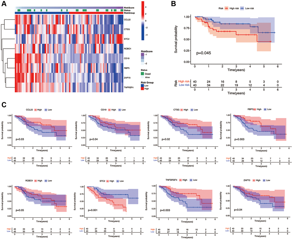 Validation of the ICF gene signature in Qilu cohort. (A) The heatmap illustrates the expression levels of eight ICF signature genes in the Qilu cohort. (B) Kaplan-Meier survival analysis demonstrates the survival outcomes of the high- and low-risk groups in the Qilu cohort. (C) Kaplan-Meier survival analysis stratified by the expression levels of eight ICF signature genes in the Qilu cohort.