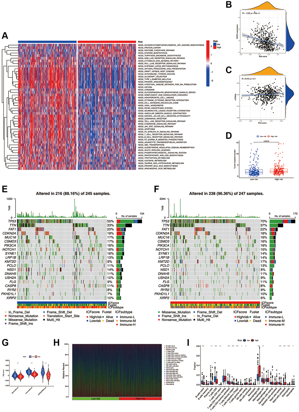 Molecular mechanisms and the TME landscape of different ICF risk groups. (A) GSVA of KEGG pathways in high- and low-risk groups. (B) Correlation of the ICF score and the expression of immune checkpoint CD274 (PD-L1). (C) Correlation of the ICF score and cancer stemness indices (mRNAsi). (D) Comparison of TMB between high- and low- risk groups. The landscape of somatic variance of the low-risk group (E) and high-risk (F) group. (G) Comparisons of TME components between high- and low-risk groups. (H) The bar plot shows the fractions of 22 immune infiltrating cells in high- and low-risk groups. (I) Comparisons of the proportions of 22 immune infiltrating cells between high- and low-risk groups.