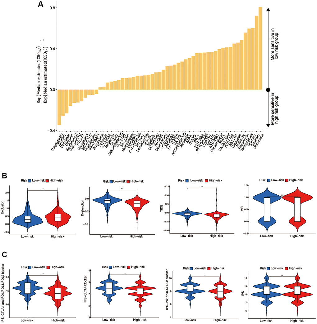 Evaluation of the ICF score in predicting HNSCC treatment responsiveness. (A) The histogram shows the drugs with significant differences of IC50 value between high- and low- risk groups (Wilcoxon test, p B) Comparisons of T cell exclusion and dysfunction scores, the comprehensive TIDE score, and the MSI score between high- and low-risk groups. (C) Comparisons of the IPS values between high- and low-risk groups.