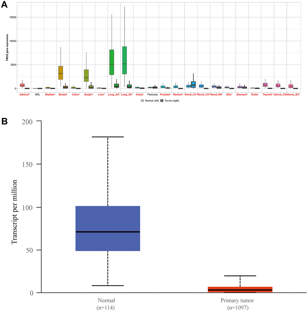 The expression of FMO2 in pan-cancer (A) and breast invasive carcinoma, (B) P