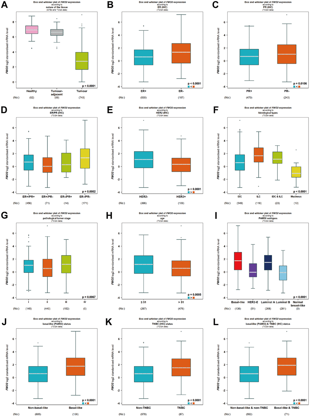 Relationship between FMO2 and different clinical indicators in TCGA. (A) Nature of the tissue. (B) ER status. (C) PR status. (D) ER and PR status combinations. (E) HER2 status. (F) Histological types. (G) Pathological tumor stage. (H) Age status. (I) PAM50 subtypes. (J) Basal-like (PAM50). (K) Triple-negative breast cancer. (L) Basal-like (PAM50) and triple-negative breast cancer.