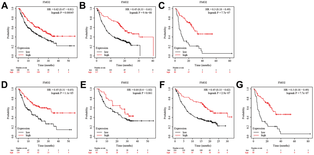 High FMO2 expression was sensitive to immunotherapy in OS. (A) Anti-PD-1 immunotherapy. (B) Anti-PD-L1 immunotherapy. (C) Anti-CTLA-4 immunotherapy. (D) Pembrolizumab immunotherapy. (E) Nivolumab immunotherapy. (F) Atezolizumab immunotherapy. (G) Ipilimumab immunotherapy.